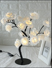 Lamp Rose Small Tree