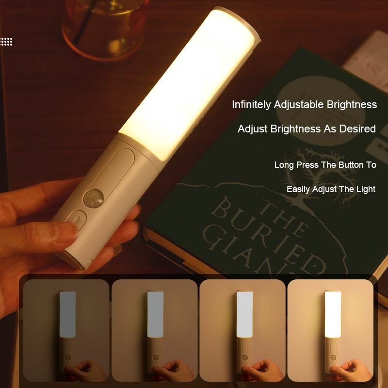 Smart Human Body Motion Sensor Light