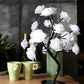 Rose Flower Lamp USB Battery