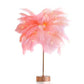 Feather Lamp Nordic Desk Lamp