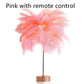 Feather Lamp Nordic Desk Lamp